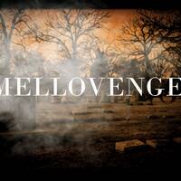 MelloVenger - VPS AVENGER