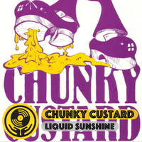 Cornucopia of Chunky House Choones - Liquid Sunshine @ The Face Radio - Show #92 - 01-02-2022 by Liquid Sunshine