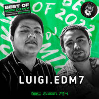 Luigi.edm7 - TrackWolves Best Of 2022 DJ Mix by TrackWolves