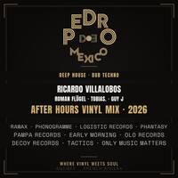 After Hours Vinyl Mix 2026 | Villalobos, Roman Flügel, Tobias., Guy J | Deep House &amp; Dub Techno by Pedro II Mexico
