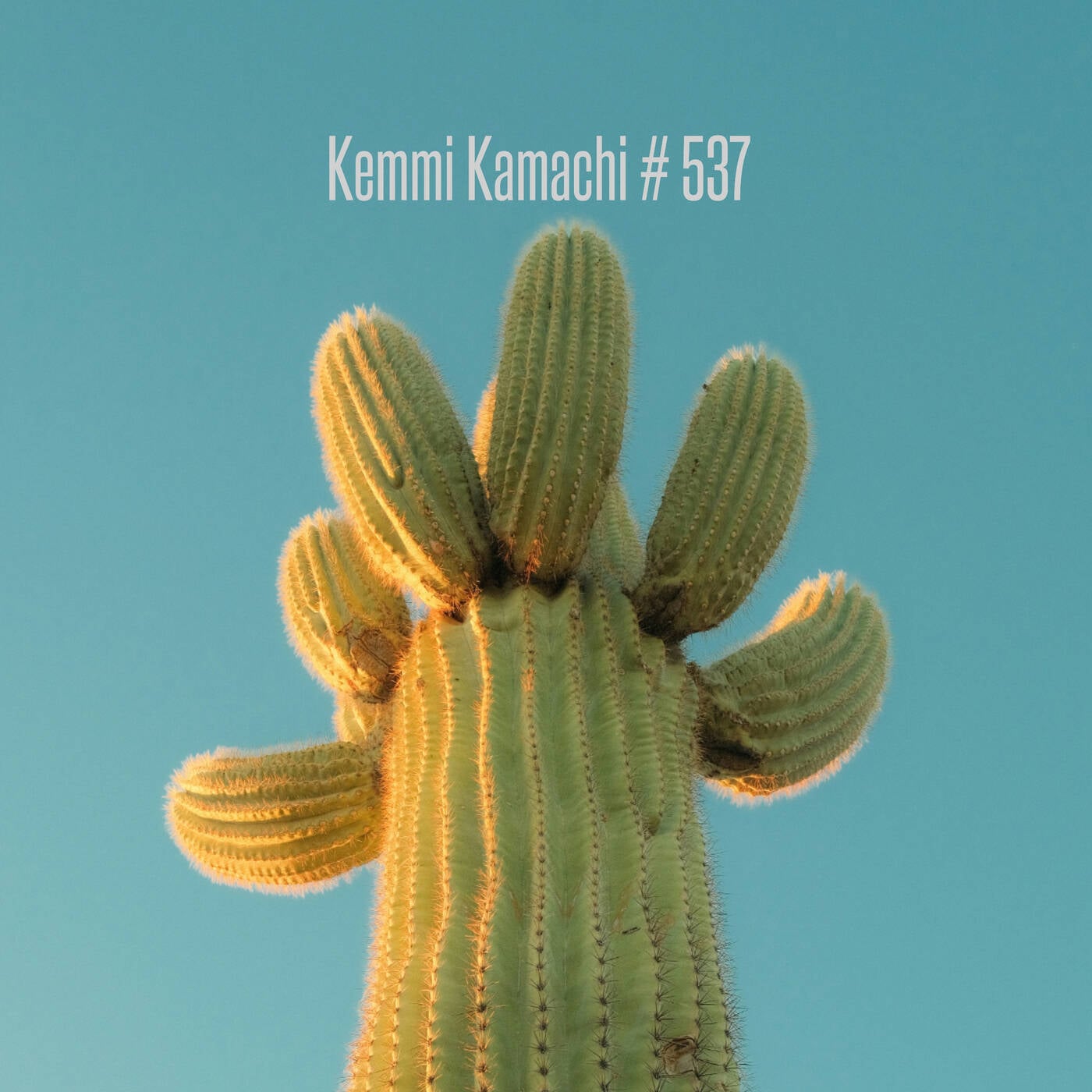 Kemmi Kamachi # 537 episode artwork