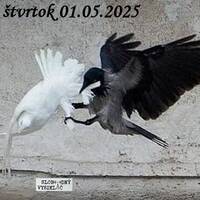 Spirituálny kapitál 564 - 2025-05-01 „Prepad planéty. „Náboženstvo je ópium ľudstva““ by Slobodný Vysielač