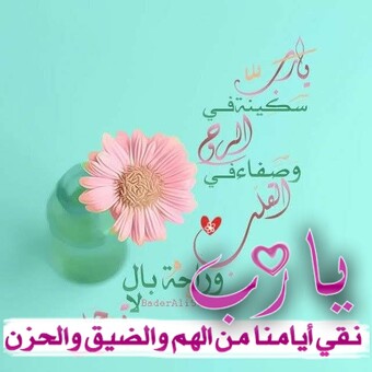 الدرة المصونة