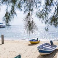 Practica respiratiei abdominale by Stefan Pusca