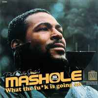 Mashole Vol.12 -What The Fu*k Is Going On by Phil RetroSpector