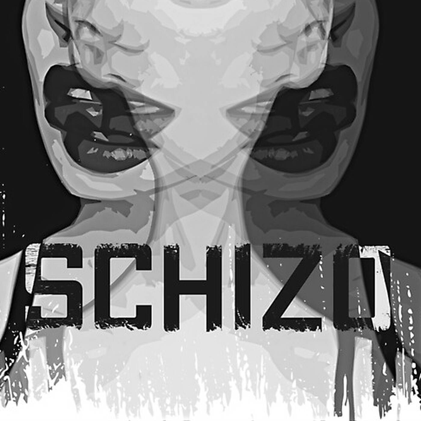 schizo episode artwork