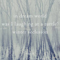 Laura - turtleatlas(naviarhaiku488) by Naviar