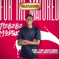 ForTheMaturedPromoMixtape(100%ProductionMix13ByTsebebeMorokeLiveMixHurricaneLifestyleMarchEdition) by Tsebebe Moroke