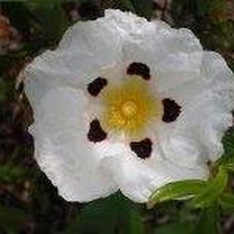 Marta Fdez-Vi&ntilde;a