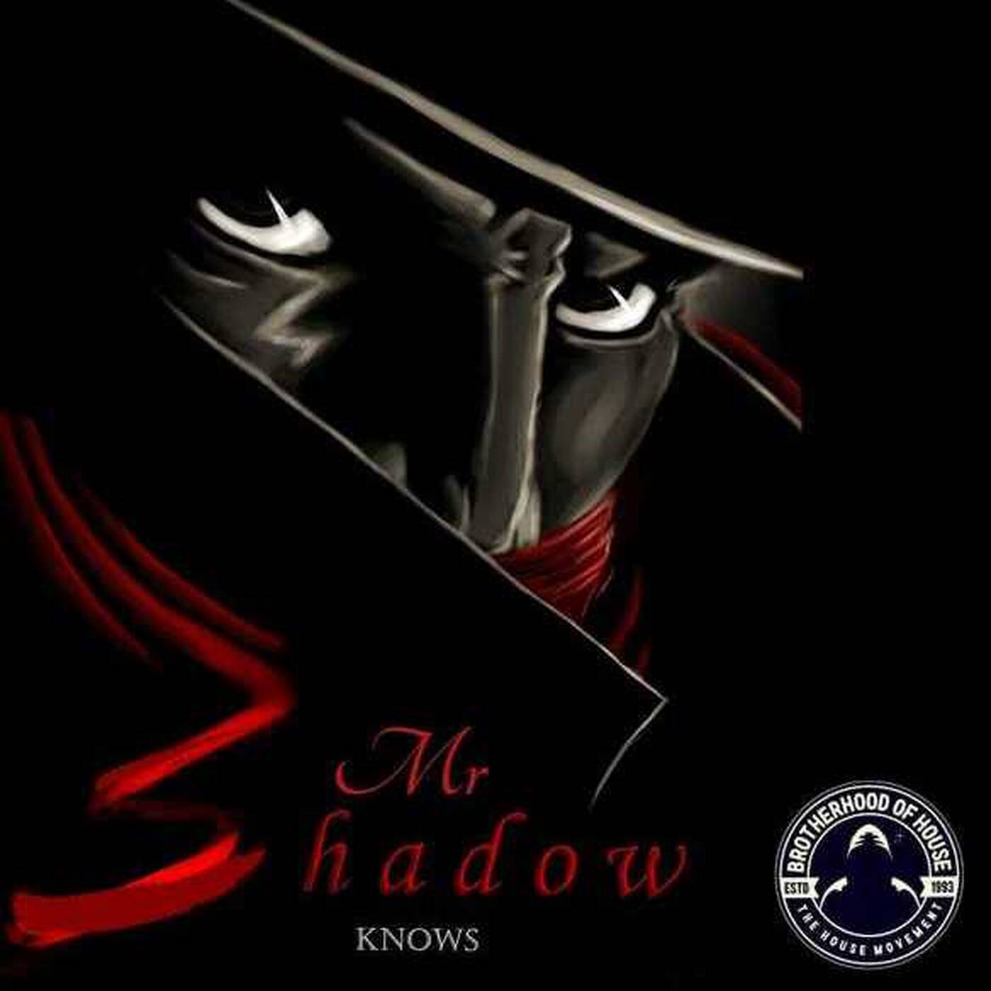 The Brotherhood Of House Deepvibes Radio Show 232 ft Mr Shadow episode artwork