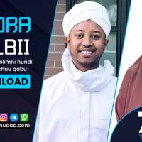 RNH 782, January 23, 2023 Soora Qalbii by NHStudio