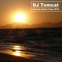 DJ Tomcat Demo Tape Summer 2015 VOL2 by DJ Tomcat