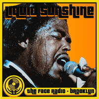 Deep Disco Delights and Loving Luv Choones - Liquid Sunshine @ The Face Radio - Show #201 by Liquid Sunshine