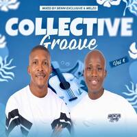 Collective Grooves Vol 04 Mixed By Melzo &amp; Benni Exclusive (Exclusive's Birthday Mix) by Bennie Exclusive