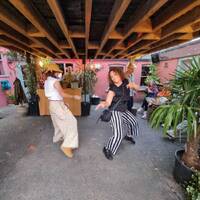 Baz &amp; Nova / Afternoon Session / Palm Trees / July 2024 by Baz & Nova