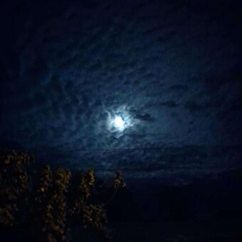 Pilar Linares Huansi