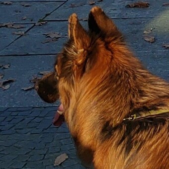 Małgorzata Kościńska