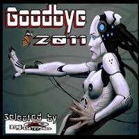 Goodbye 2010 by DjBlasto