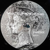  Theorie - Menace II Your Speakers [vinyl] – late 90s/early 00's dnb [2024] by theorie