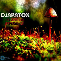 The Shroom Experience [Preview] (Out Soon @Wasted Records) by Djapatox