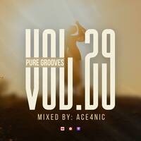 Pure Grooves Vol.29 Mixed By. ACE4NIC [Sept'26 Heavyhittz] by Pure Grooves Music SZ