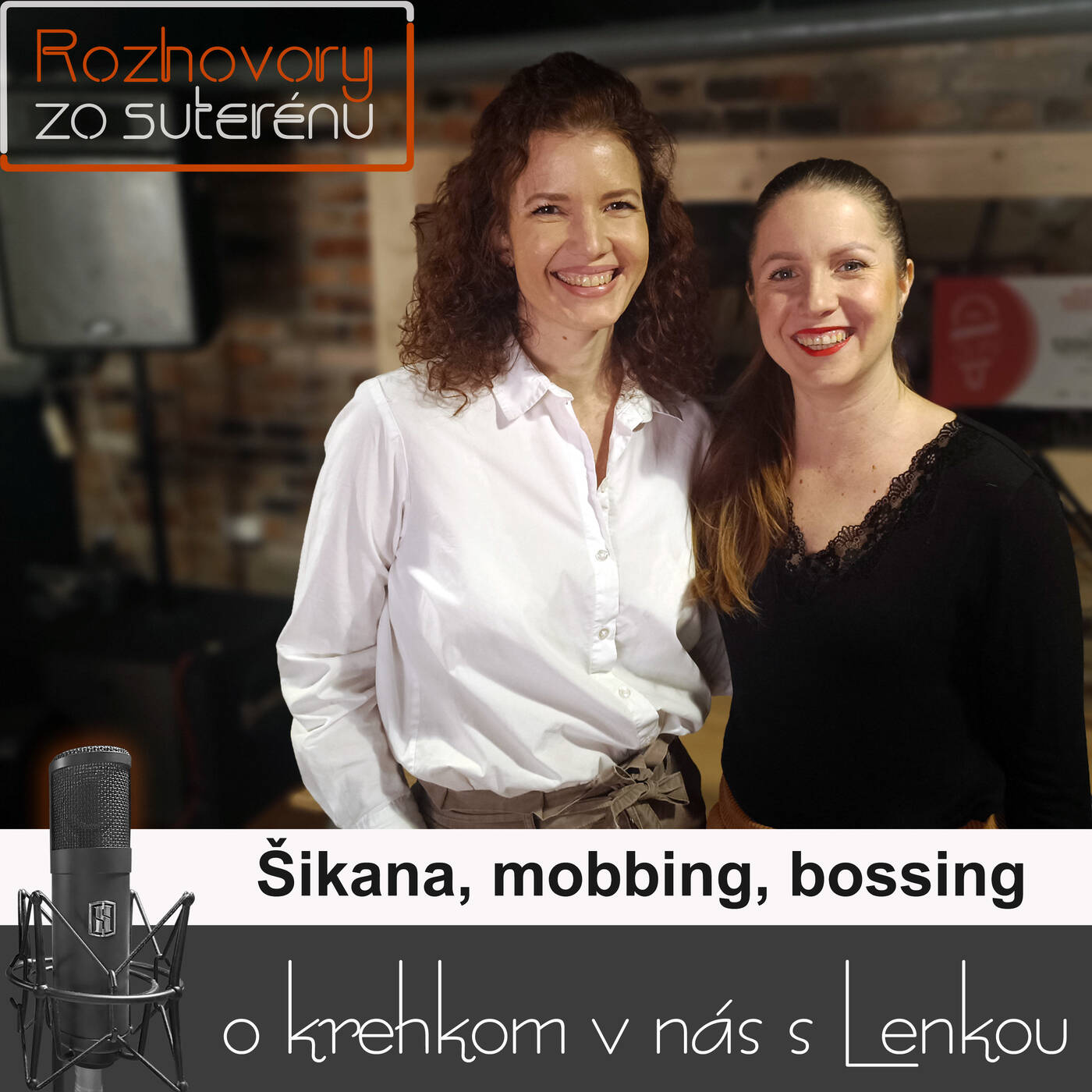 Rozhovory zo suterénu 9 - Šikana, mobbing, bossing (Lucia Kúdelová, Lenka Valentíniová) episode artwork