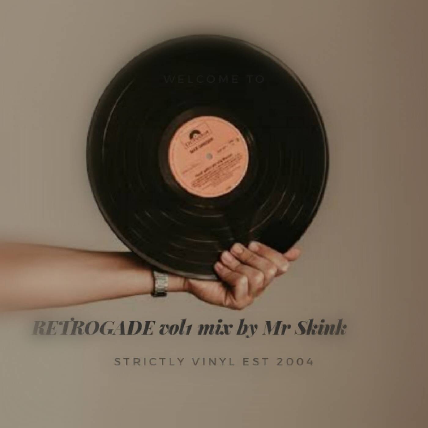 Retrogade vol 1 mix by Mr Skink(Strictly on Vinyl) episode artwork