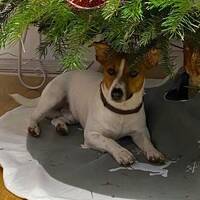 8 titres inconnu DJ Sonic by Zephyrin Zeyphrin