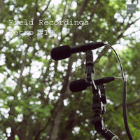 Field Recordings | Retro #19 by PG3A