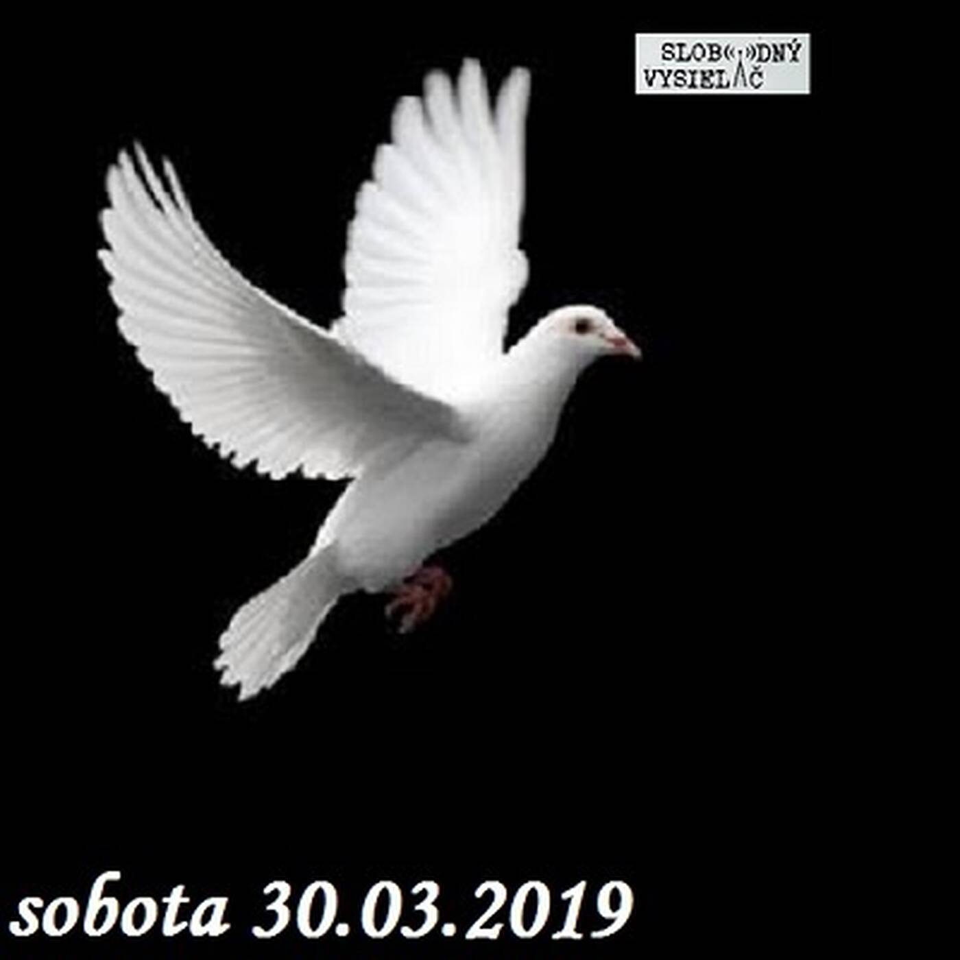 V prvej línii - 2019-03-30 Strácame slobodu slova ? episode artwork