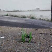 terraform by sevenism