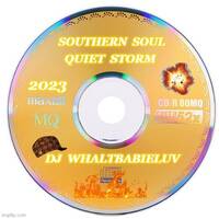 Southern Soul Quiet Storm 2023 (Dj WhaltBabieLuv) by Dj WhaltBabieLuv's