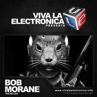 Viva la Electronica pres Bob Morane by Bob Morane