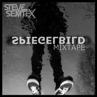 Steve Semtex Mixtape | Spiegelbild by Steve Semtex
