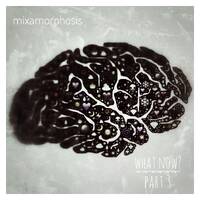 What Now? (Part 3) by Mixamorphosis