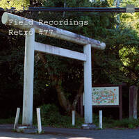 Field Recordings | Retro #77 by PG3A