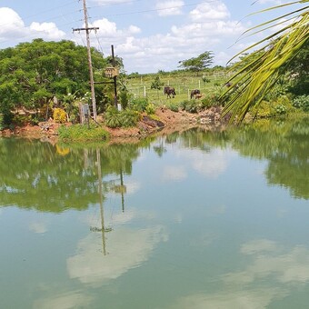 Tsepo Marvelous Nkosi