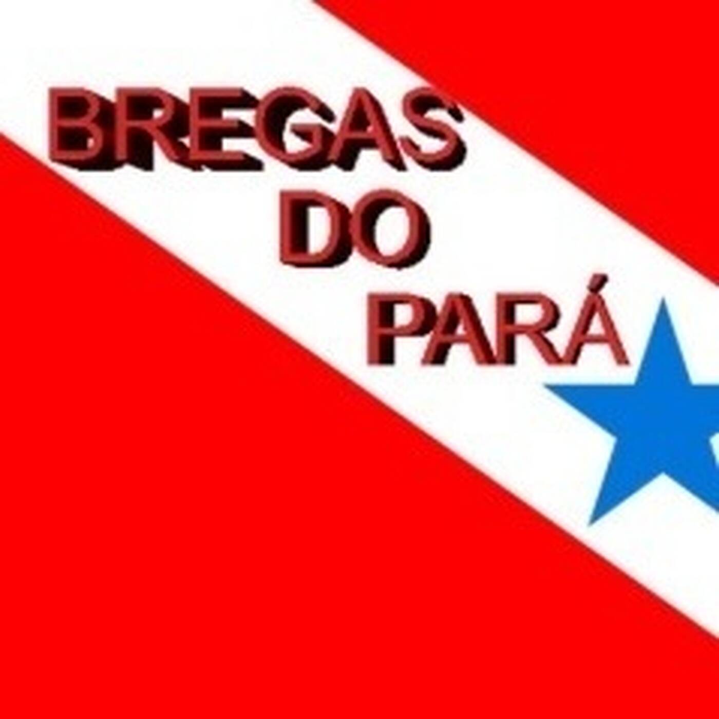 MARCANTES FLASH BREGA 55 ANOS DJ CH episode artwork