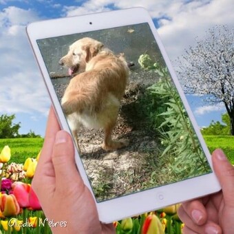 I&Atilde;&plusmn;aki Lopetegui