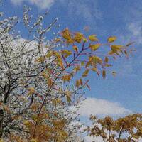 Un jour après l'autre by Gérard Delassus