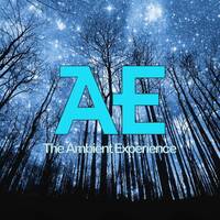 TT-ram - The Ambient Experience 25 (free dl) by Josquin Versatile