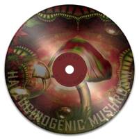 Purple Moon Discovery