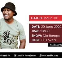shaun101 -LESEDI FM mix by DjShaun101