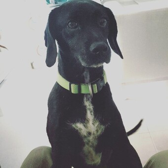 Carlitos Bescos Sans