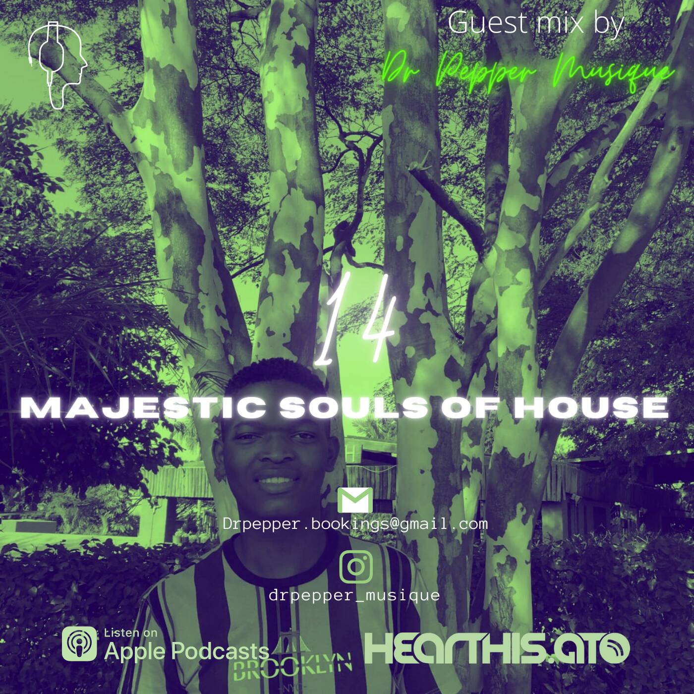 Majestic Souls Of House Vol. 14 (Guest Mix by Dr Pepper Musique) episode artwork