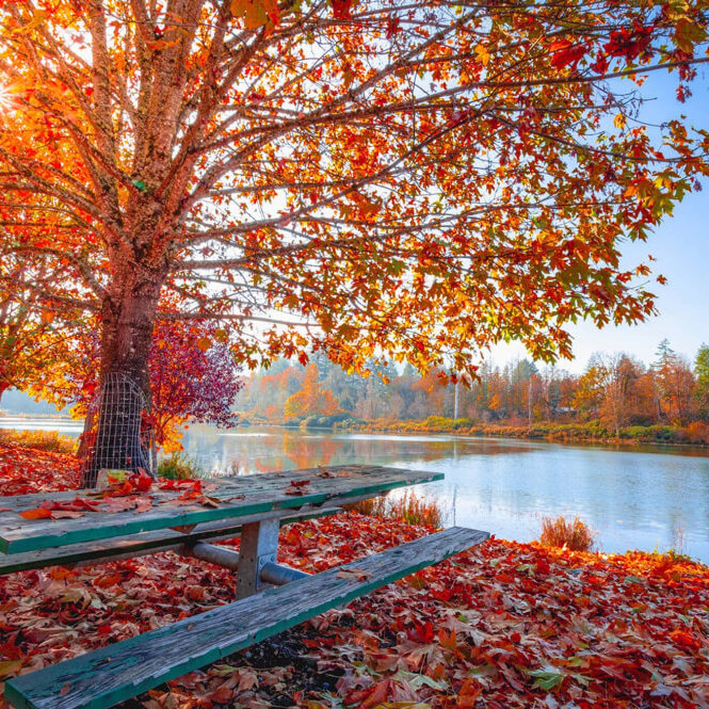 Autumn episode artwork