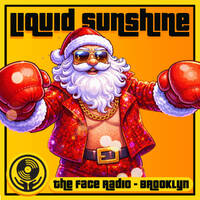 Disco Boxing Day Re-Boxed - Liquid Sunshine @ The Face Radio - Show #261 by Liquid Sunshine