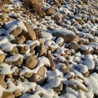 Polyrhythmic jungle (feb 2024) by Flajšer