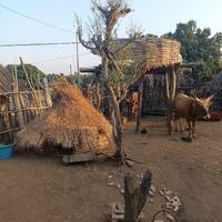  Mondophonie - Joan en Afrique / Sénégal - Projet de collecte de déchets plastique à Ibel au Sénégal 2/2 by Radio Albigés