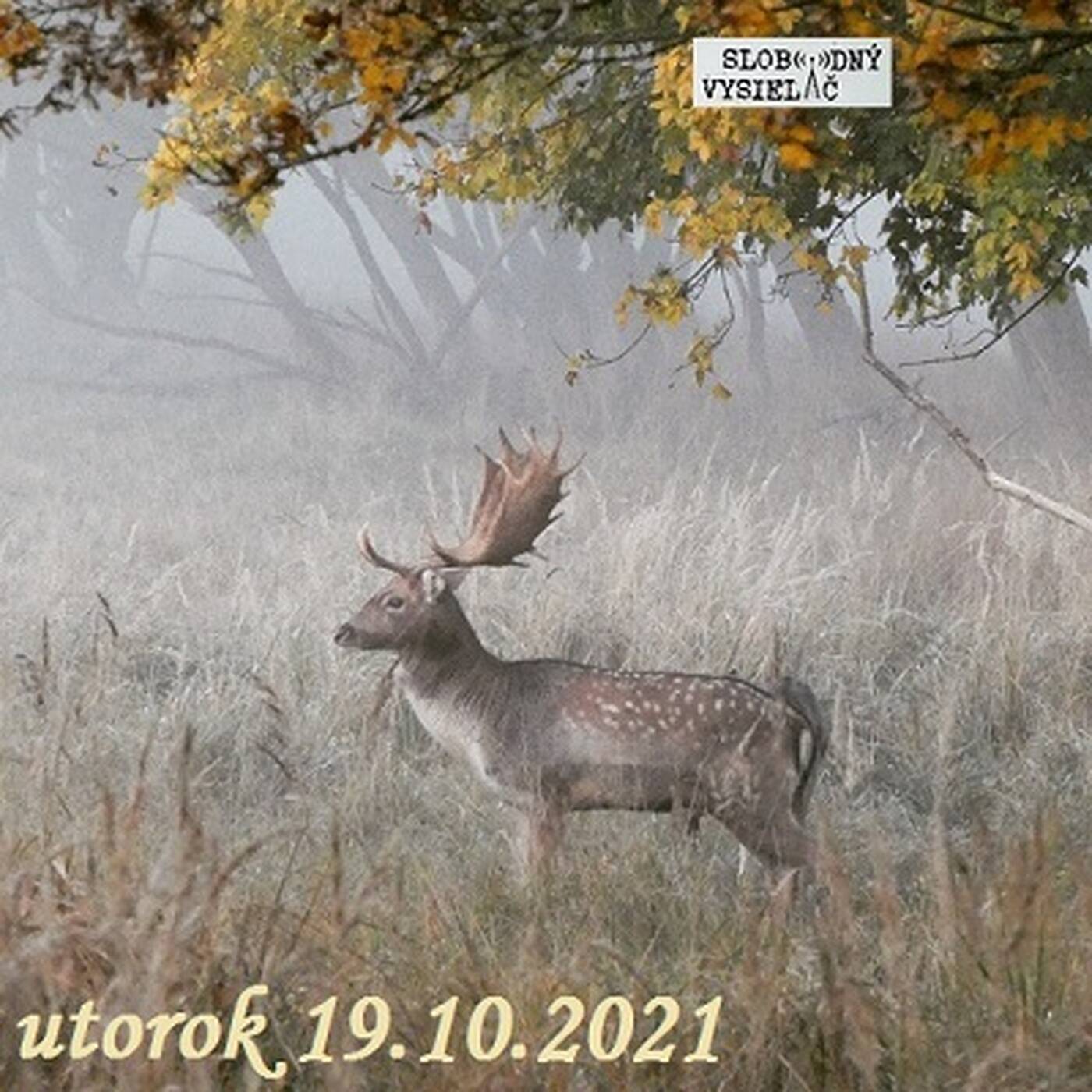 V prvej línii - 2021-10-19 episode artwork